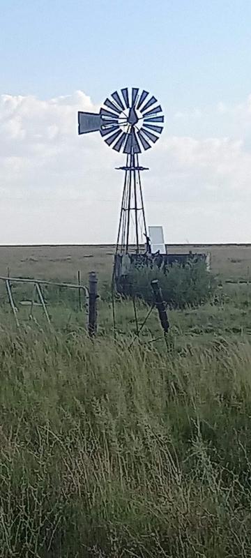 3 Bedroom Property for Sale in Edenburg Free State
